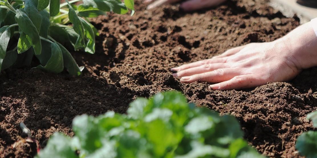 Oferta de empleo: Jardinero/a (m/f/d) para mantenimiento de terrenos y recintos